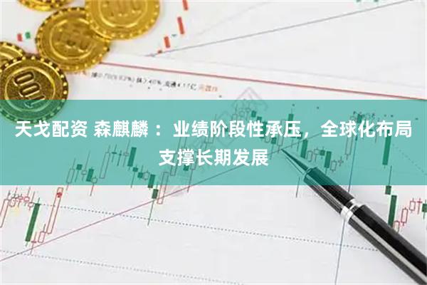 天戈配资 森麒麟 ：业绩阶段性承压，全球化布局支撑长期发展