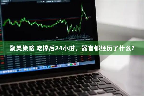 聚美策略 吃撑后24小时，器官都经历了什么？