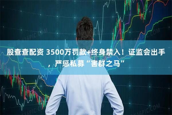 股查查配资 3500万罚款+终身禁入！证监会出手，严惩私募“害群之马”