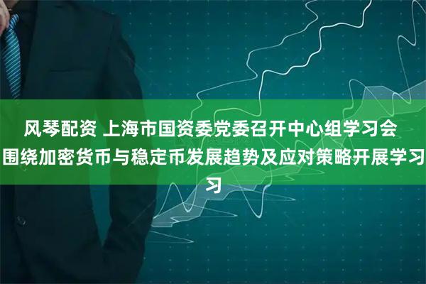 风琴配资 上海市国资委党委召开中心组学习会 围绕加密货币与稳定币发展趋势及应对策略开展学习